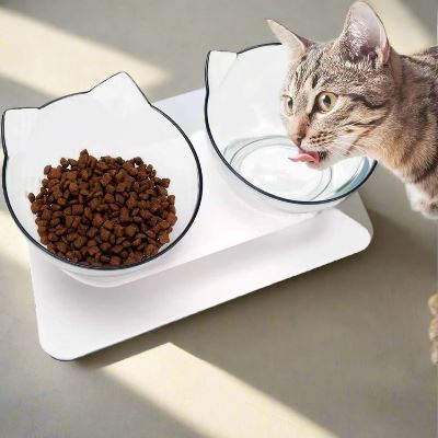 Gamelle Chat - CatDoubleBowl™ - Transparent - Le Coin Des Félins