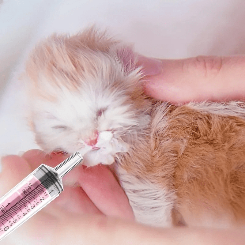 Seringue Alimentation - CatFeedingSyringe™ - Rose - Le Coin Des Félins